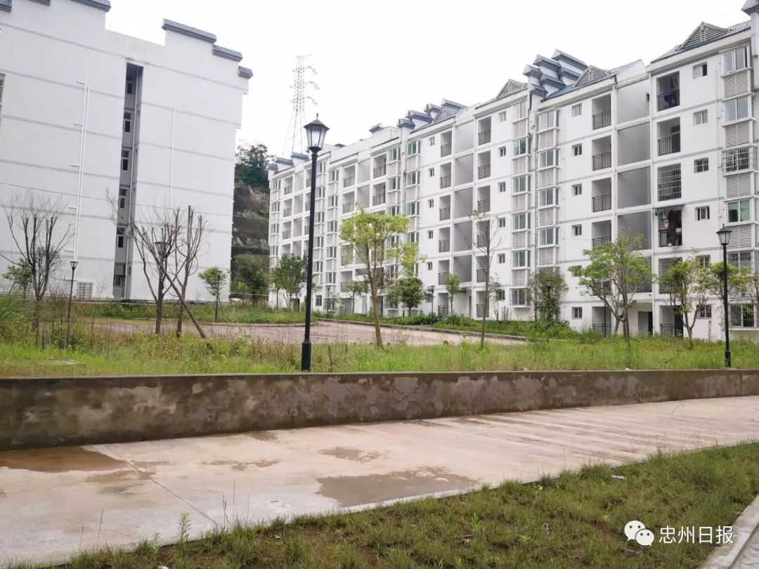忠縣公租房最新動態(tài)，推動公共住房建設(shè)，助力民生改善