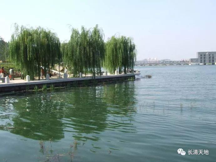 長清園博園最新招聘啟事發(fā)布，職位空缺等你來挑戰(zhàn)