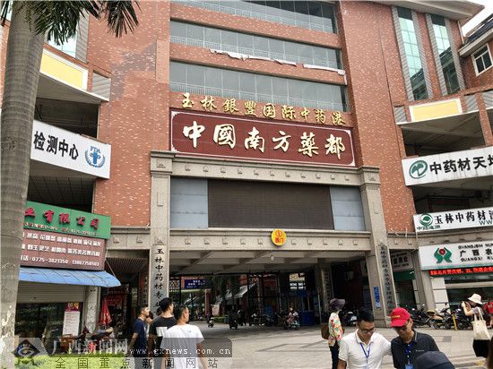 玉林盛東國際最新動態(tài)與深度解析