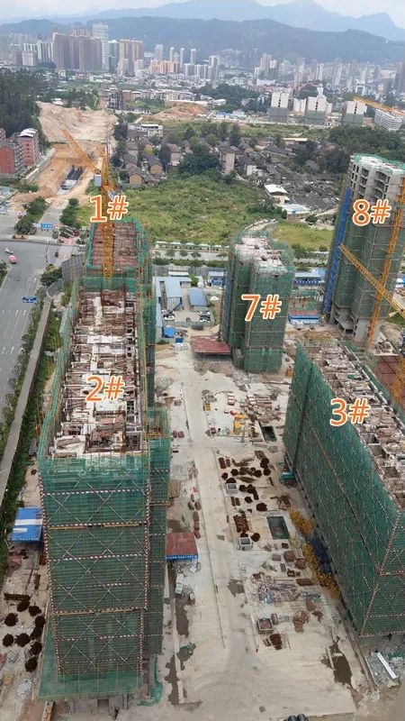 龍津大時代邁向新時代的堅定步伐，最新進度更新