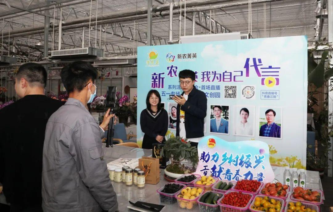 江陰華士最新招聘信息概覽，最新崗位與求職指南