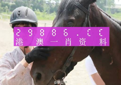 澳門今晚必中一肖一碼準(zhǔn)確9995,國(guó)產(chǎn)化作答解釋落實(shí)_Deluxe96.743