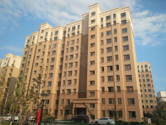 劉家灘新區(qū)最新動(dòng)態(tài)，城市發(fā)展的脈搏與未來展望