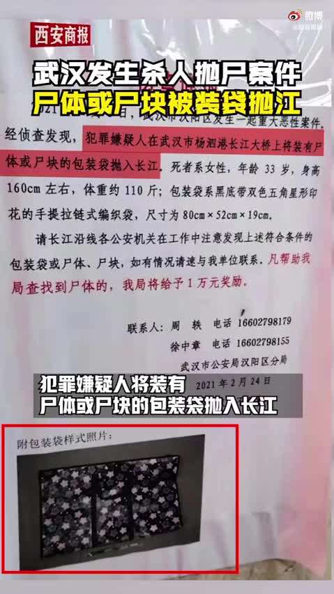 韓集村委會(huì)最新招聘信息概覽，崗位空缺與申請(qǐng)指南