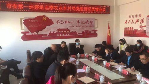 調兵山最新招聘信息，探尋職業(yè)發(fā)展的新天地