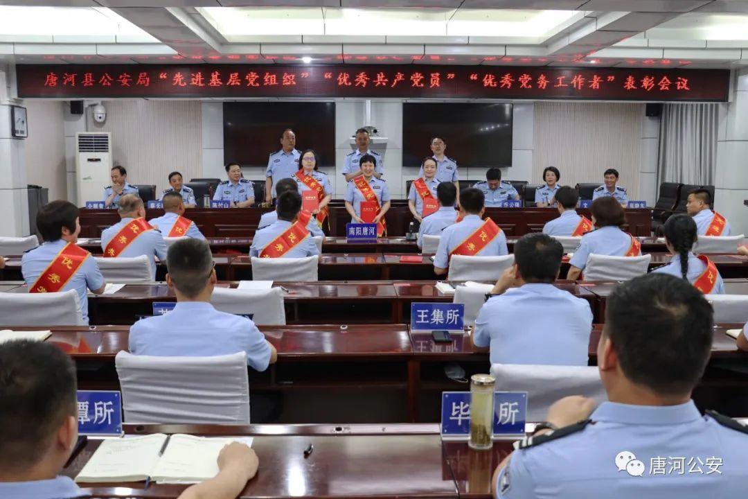 唐河縣公安局現(xiàn)代化警務(wù)體系發(fā)展規(guī)劃，提升社會(huì)治安水平的新篇章